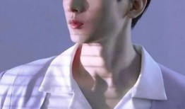 成毅被人爆料视频大全,揭秘幕后真相与网络舆论的漩涡